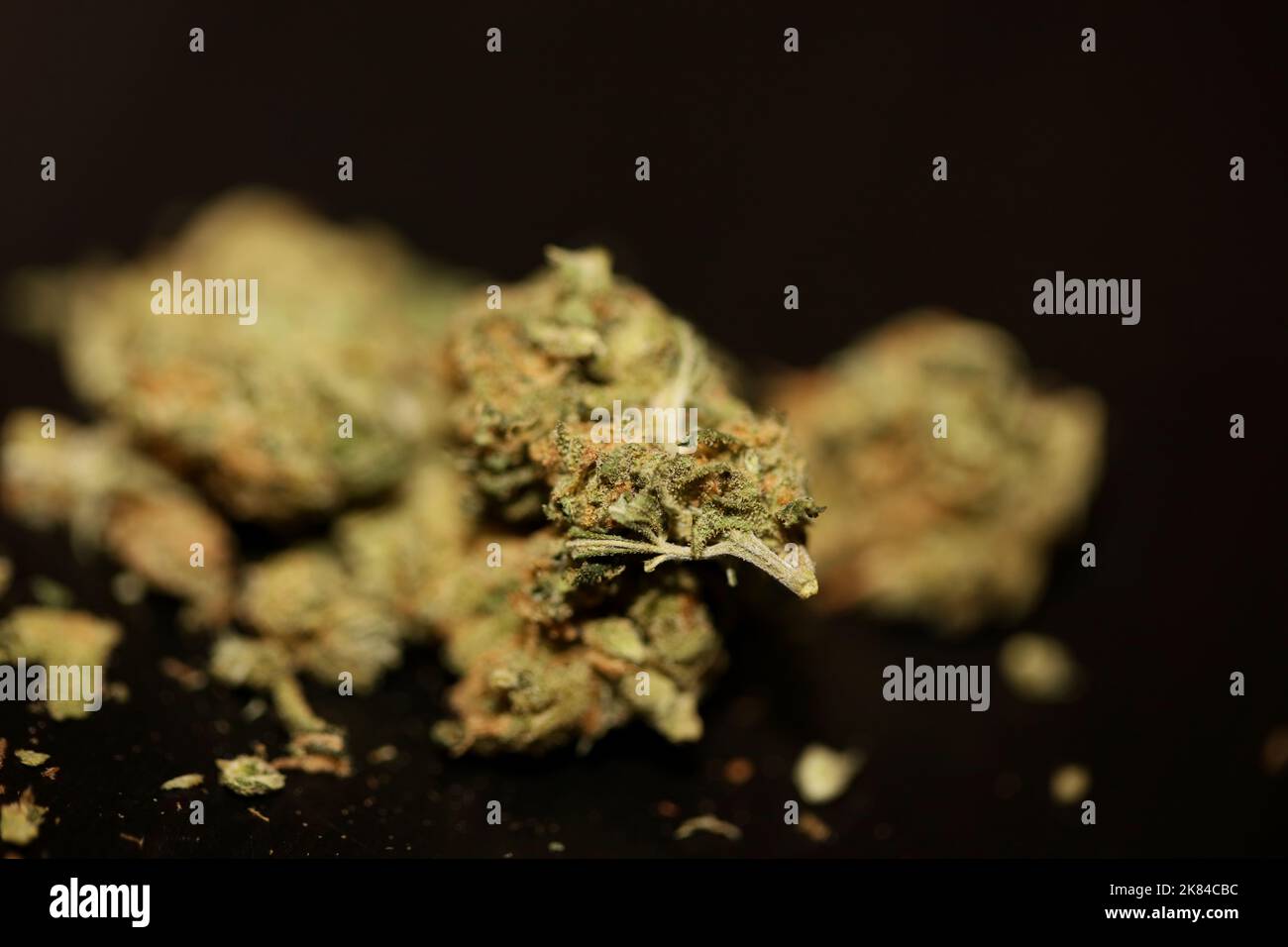 Cannabis médical marihuana super violet haze fond botanique grande taille haute qualité impressions Banque D'Images