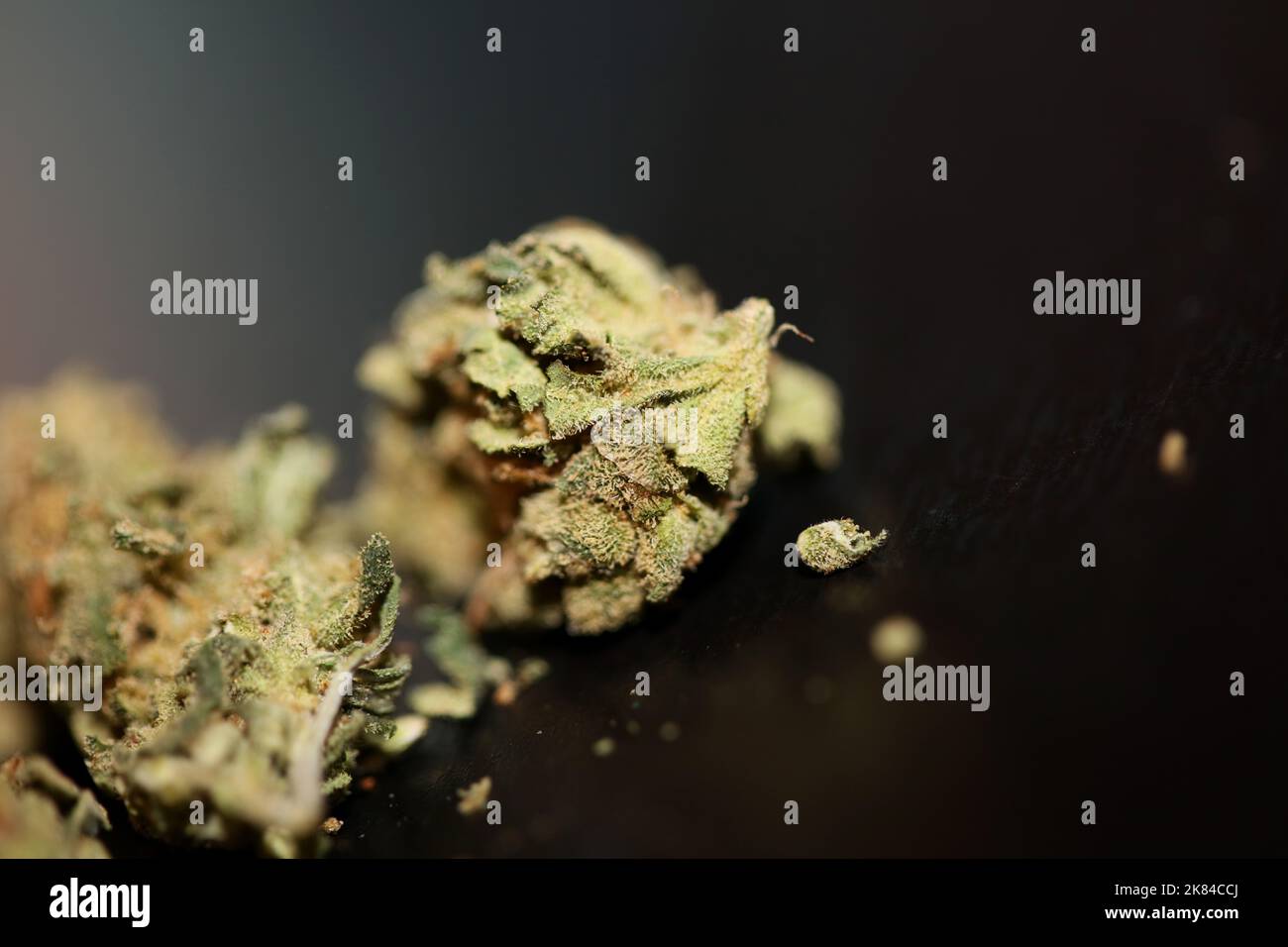 Cannabis médical marihuana super violet haze fond botanique grande taille haute qualité impressions Banque D'Images