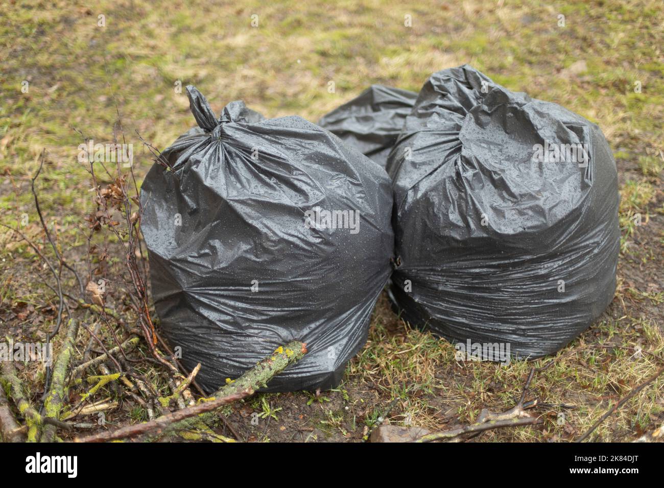 Sacs de déchets dans la rue. Sacs noirs. Nettoyage dans la cour. Sac à déchets en plastique. Banque D'Images