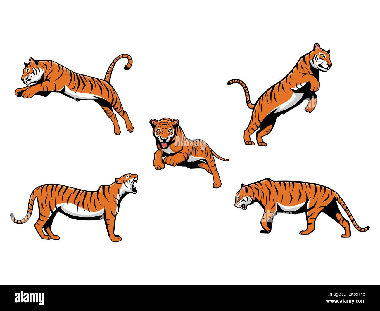 Jeu de dessins animés vectoriels de Tigres Illustration logo de mascotte isolé sur fond blanc Illustration de Vecteur