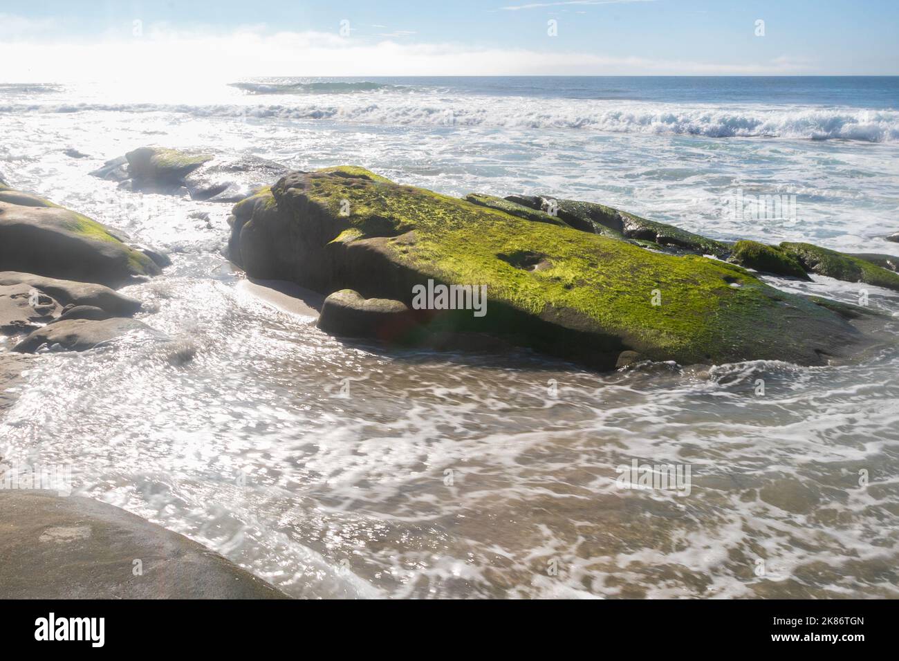 20 octobre 2022, la Jolla, CA, États-Unis d'Amérique : le varech et la mousse ont couvert des roches verdantes à la plage de la rue Marine le jeudi 20 octobre 2022, à la Jolla, Californie (image de crédit : © Rishi Deka/ZUMA Press Wire) Banque D'Images