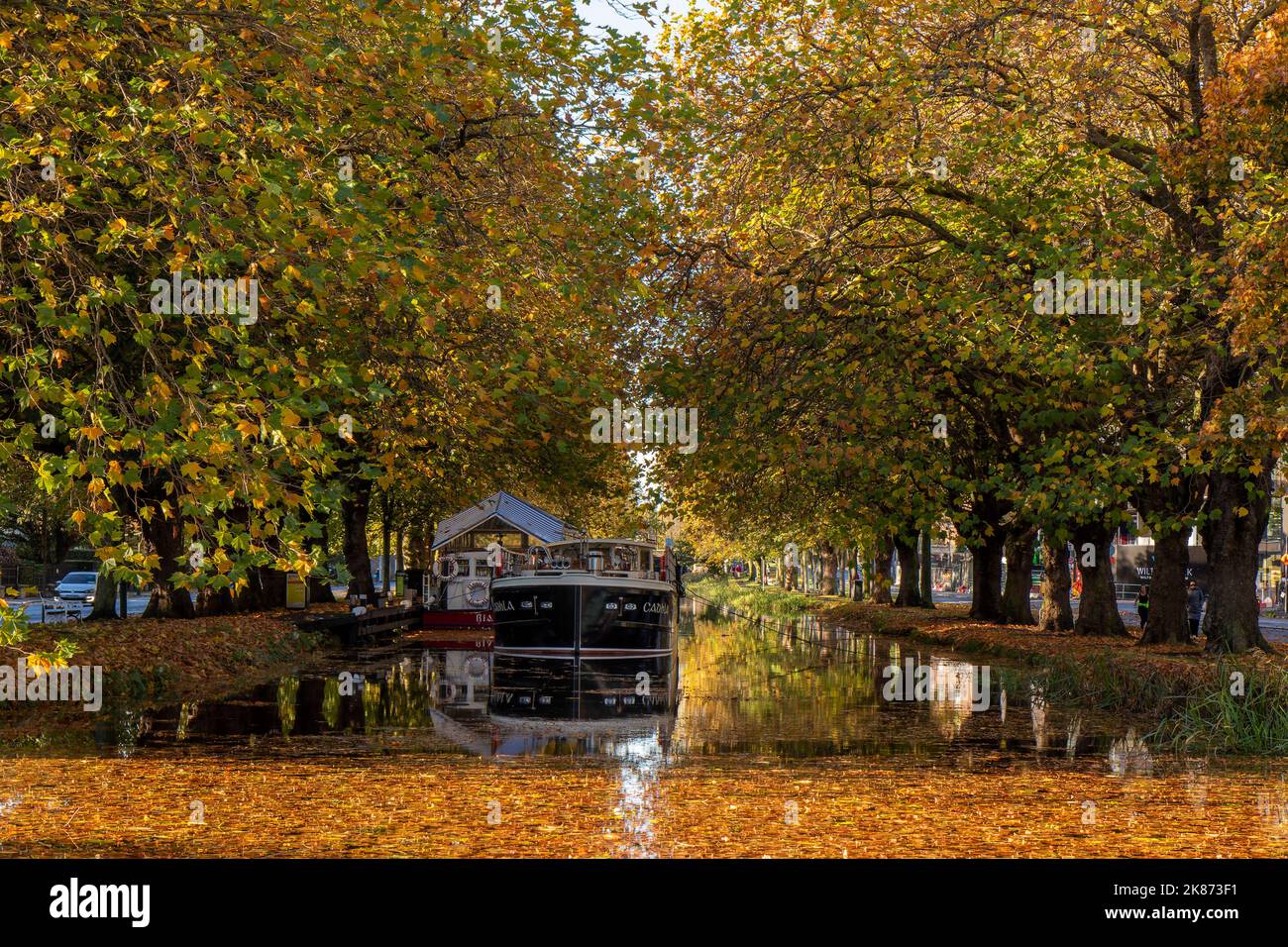 sc-ne-d-automne-au-grand-canal-dublin-irlande-des-feuilles-mortes-d