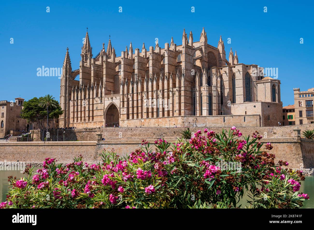 La cathédrale de Palma (La Seu), Palma de Mallorca, Mallorca (Majorque), Iles Baléares, Espagne, Méditerranée, Europe Banque D'Images