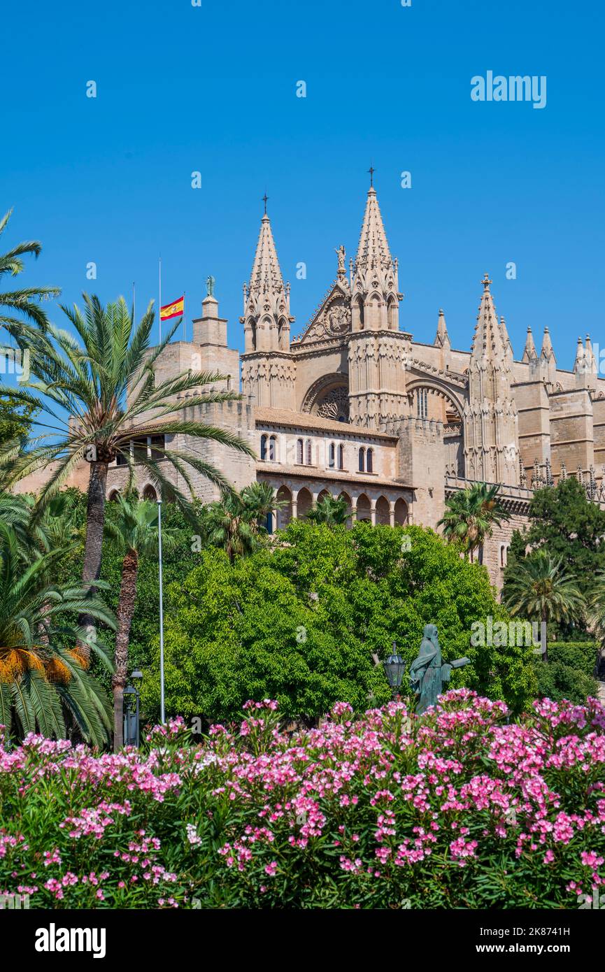 Cathédrale de Palma avec exposition de fleurs rouges, Palma de Majorque, Majorque (Majorque), Iles Baléares, Espagne, Méditerranée, Europe Banque D'Images