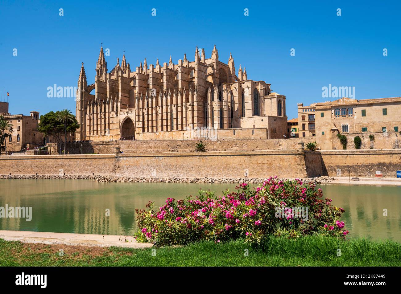 La cathédrale de Palma (La Seu), Palma de Mallorca, Mallorca (Majorque), Iles Baléares, Espagne, Méditerranée, Europe Banque D'Images