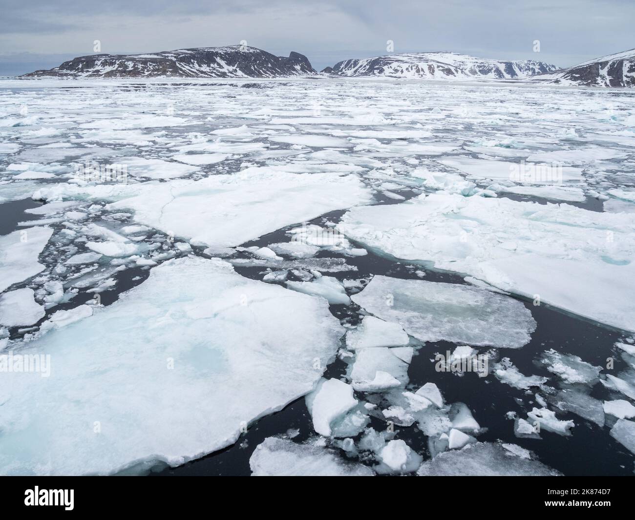 Première année de glace de mer du côté nord-ouest du Spitzbergen, Svalbard, Norvège, Europe Banque D'Images