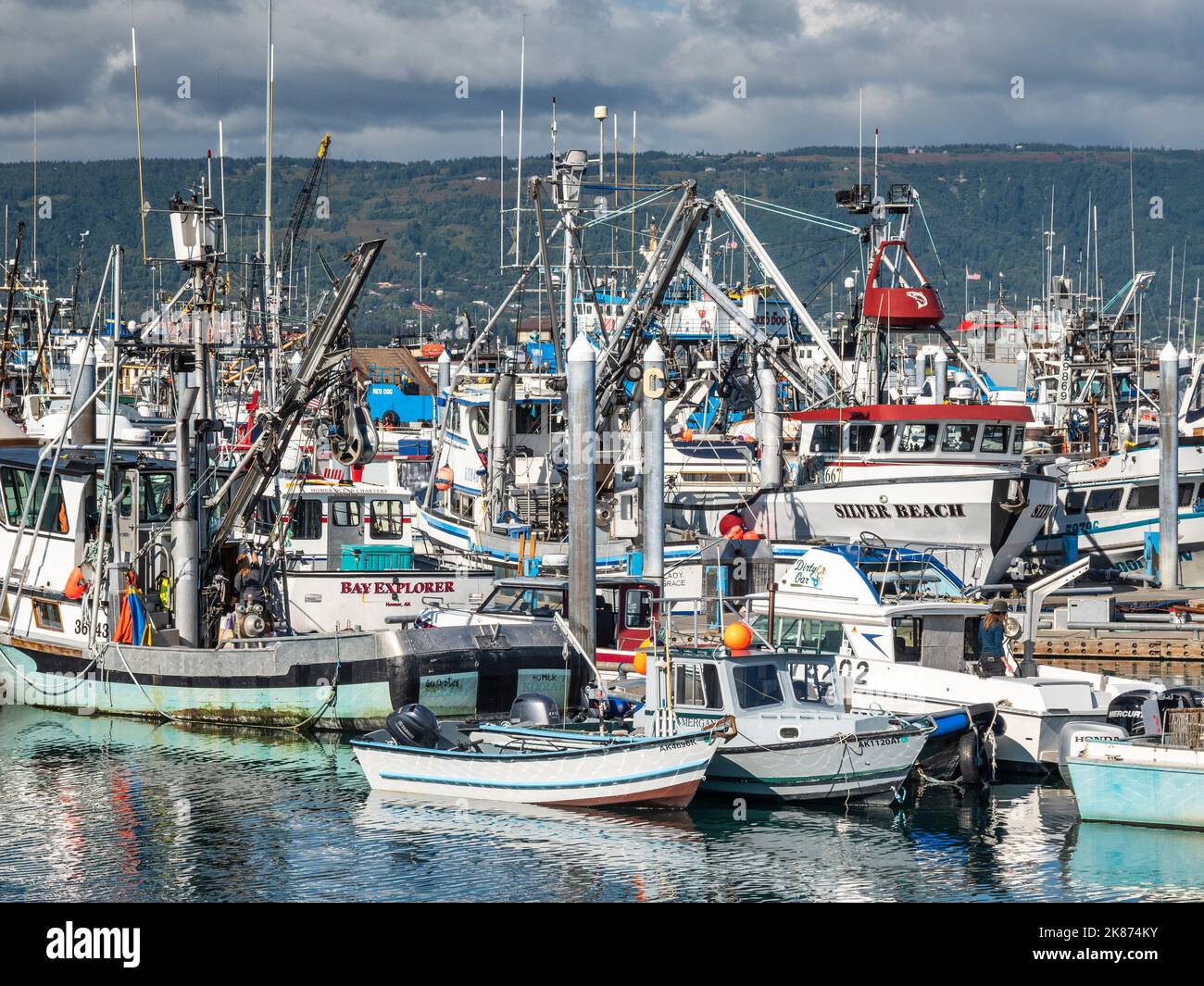 Bateaux de pêche commerciale de toutes sortes et de toutes tailles dans Homer Harbour, dans la baie de Kachemak, péninsule de Kenai, Alaska, États-Unis d'Amérique, Amérique du Nord Banque D'Images