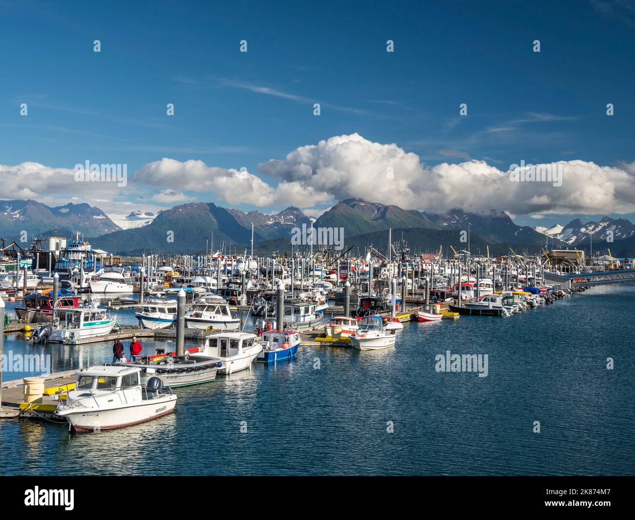 Bateaux de pêche commerciale de toutes sortes et de toutes tailles dans Homer Harbour, dans la baie de Kachemak, péninsule de Kenai, Alaska, États-Unis d'Amérique, Amérique du Nord Banque D'Images