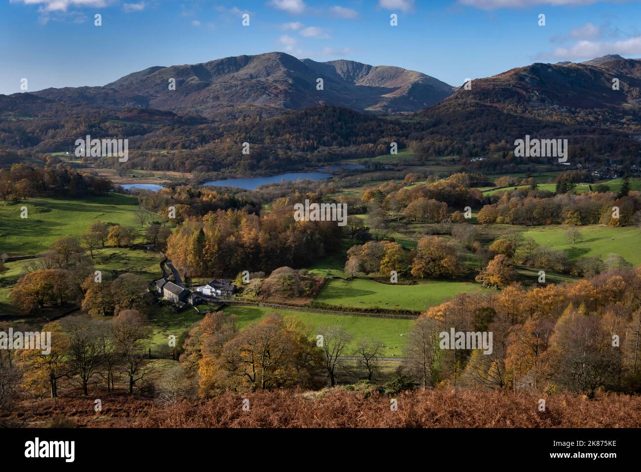 Elter Water, Wetherlam et Tilberthwaite Fells de Loughrigg tomba en automne, Lake District National Park, UNESCO, Cumbria, Angleterre Banque D'Images