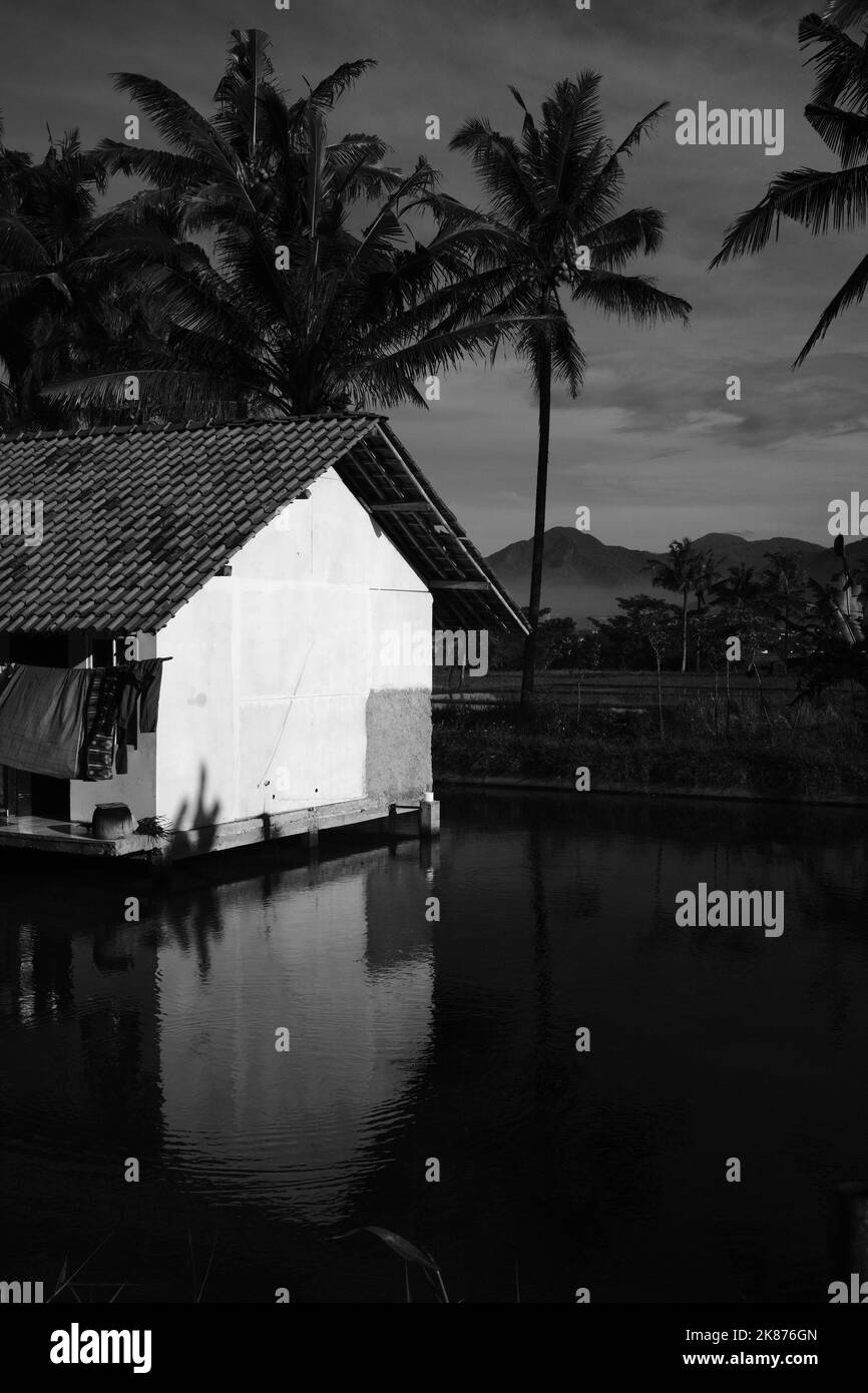 Photo monochrome, photo en noir et blanc d'un bâtiment de cabane au milieu d'un étang dans la région de Cikancung - Indonésie Banque D'Images