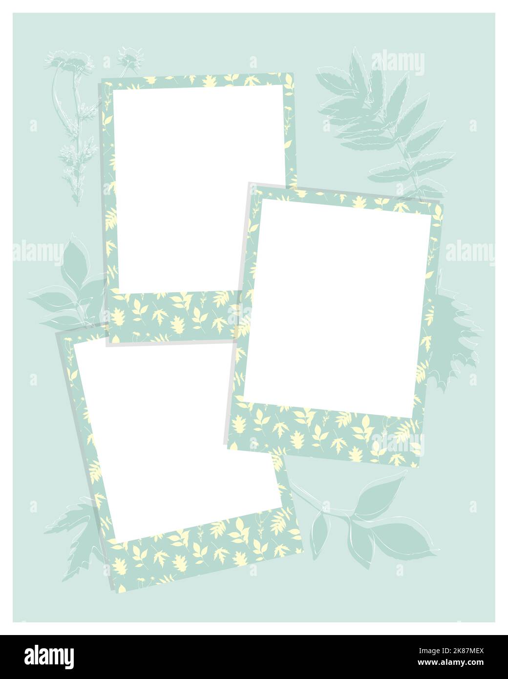 Cadre photo pour collage, cadre photo, imprimé camomille, herbier. Illustration vectorielle Illustration de Vecteur