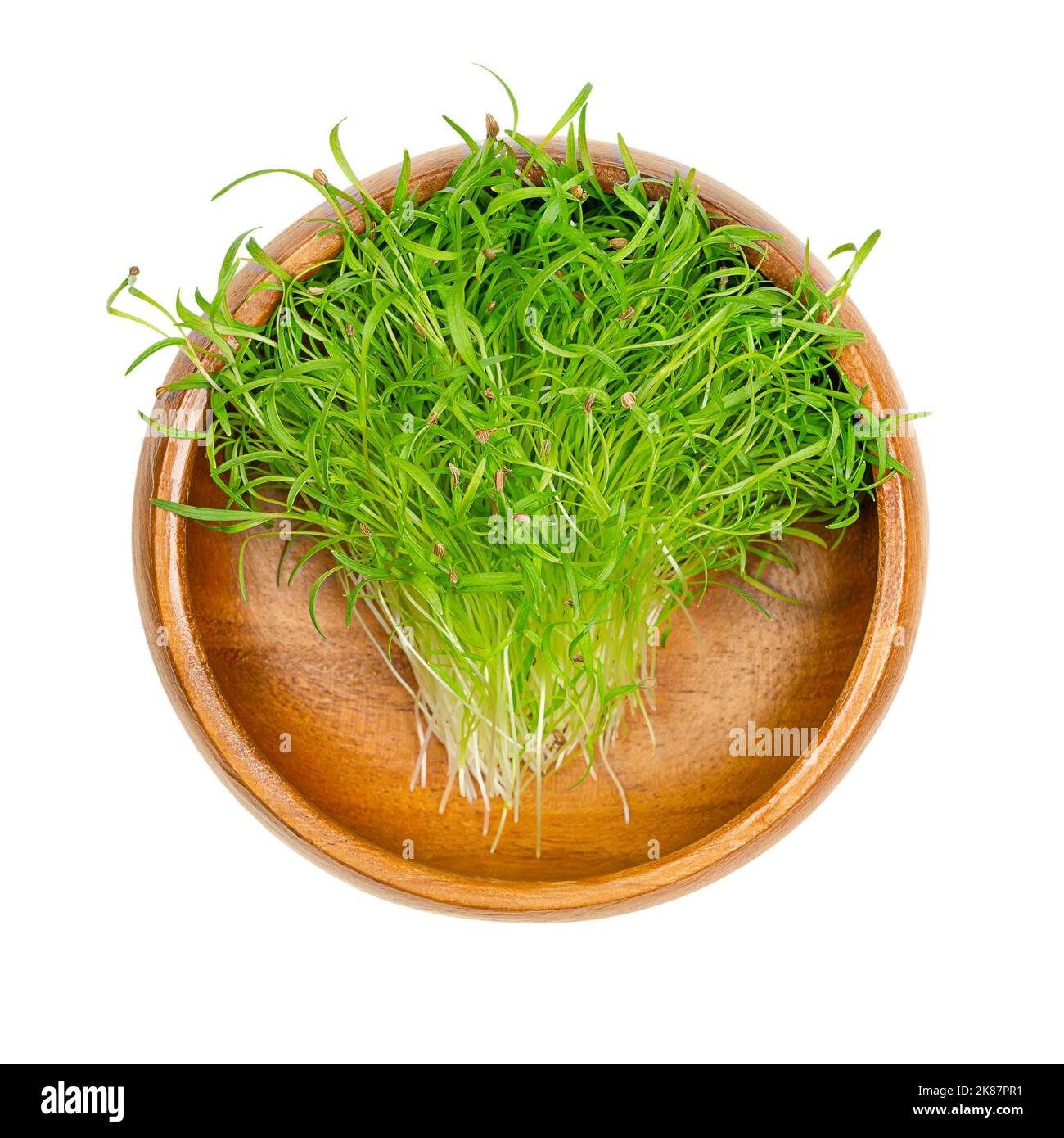 Microverts de carottes dans un bol en bois. Plantules vertes, pousses et jeunes plants de Daucus carota, un légume racinaire, prêts à manger. Banque D'Images