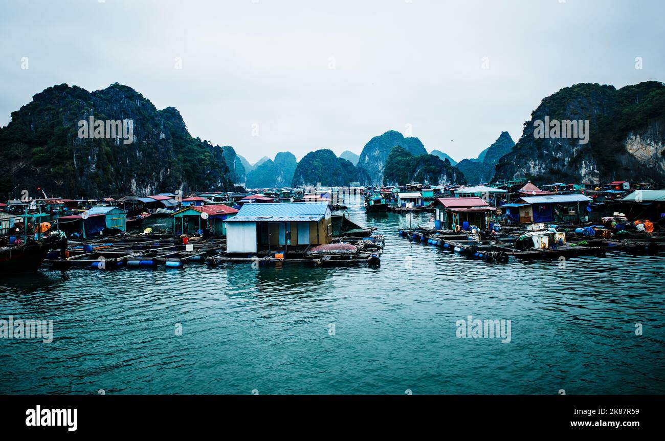 Village flottant sur Ha long Bay, Vietnam, Asie du Sud-est Banque D'Images