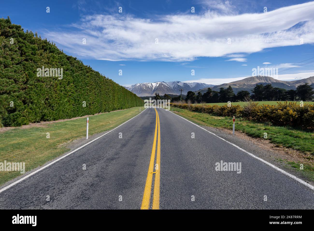 Paysage de Canterbury, île du Sud de la Nouvelle-Zélande, pris sur la route panoramique intérieure 72, avec des buissons sauvages et des Alpes enneigées en arrière-plan. Banque D'Images