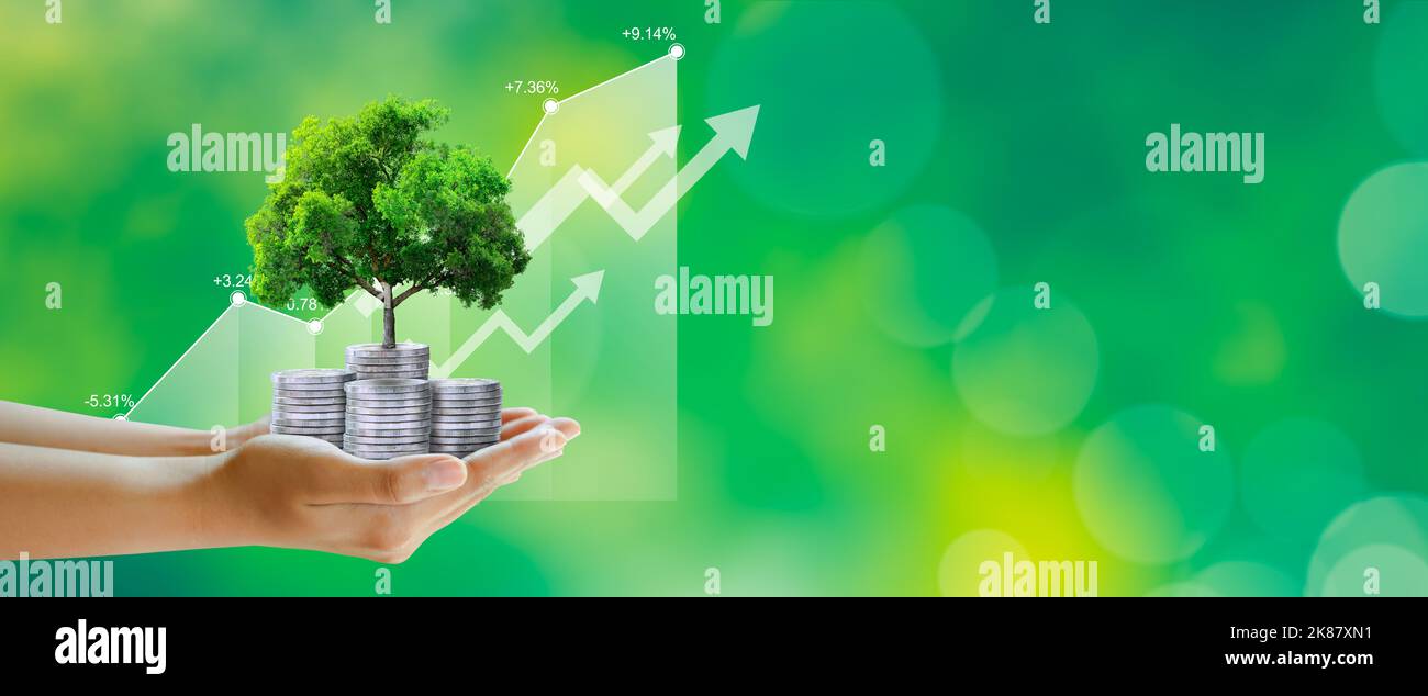 Main tenant l'arbre en croissance sur les pièces de monnaie avec le graphique de stock sur fond vert. Sauver l'écologie, rse entreprise verte, éthique des affaires, bonne gouvernance. Banque D'Images