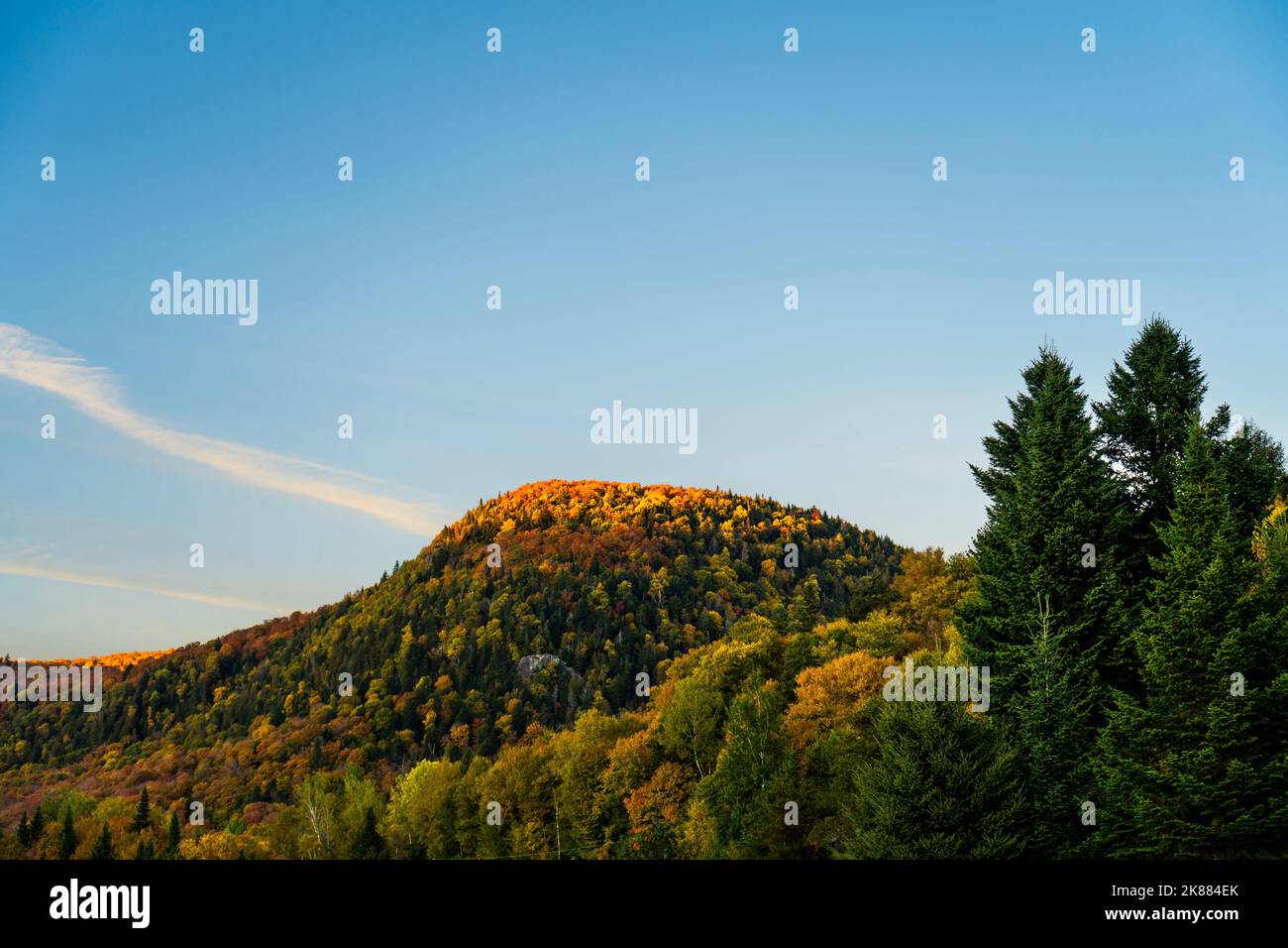 Belle forêt avec des feuilles d'automne colorées au coucher du soleil dans le parc national Banque D'Images