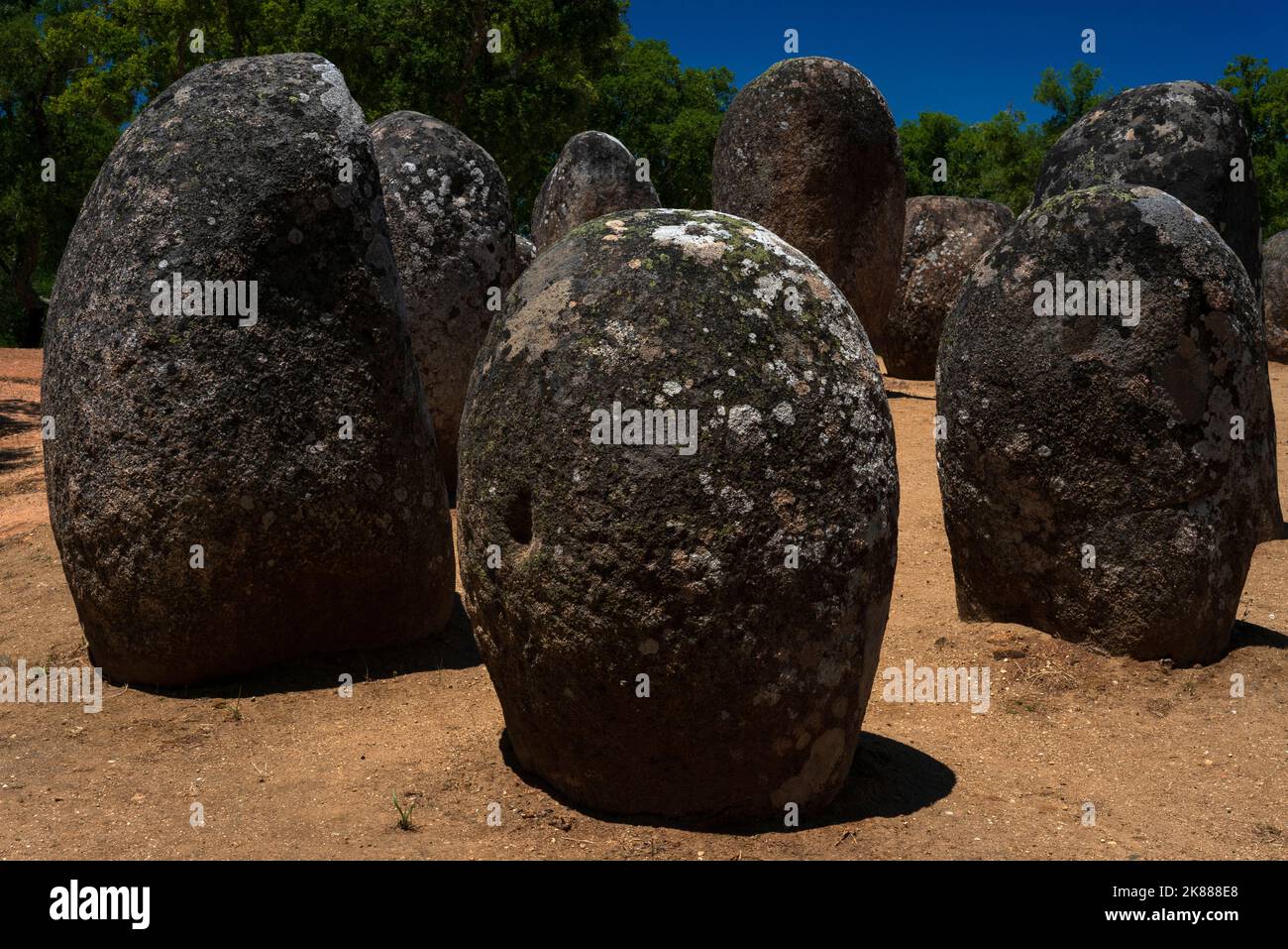 Des chênes-lièges et un ciel bleu profond sans nuages compensent cette vue de l'un des plus anciens et des plus grands complexes mégalithiques d'Europe, les Almendres Cromlech, vieux de 7 000 ans, près d'Évora, dans l'Alentejo, au sud du Portugal. Des blocs de granit, certains sculptés avec des symboles, ont été disposés en cercles concentriques pour s'aligner sur le soleil, la lune et les étoiles. Banque D'Images