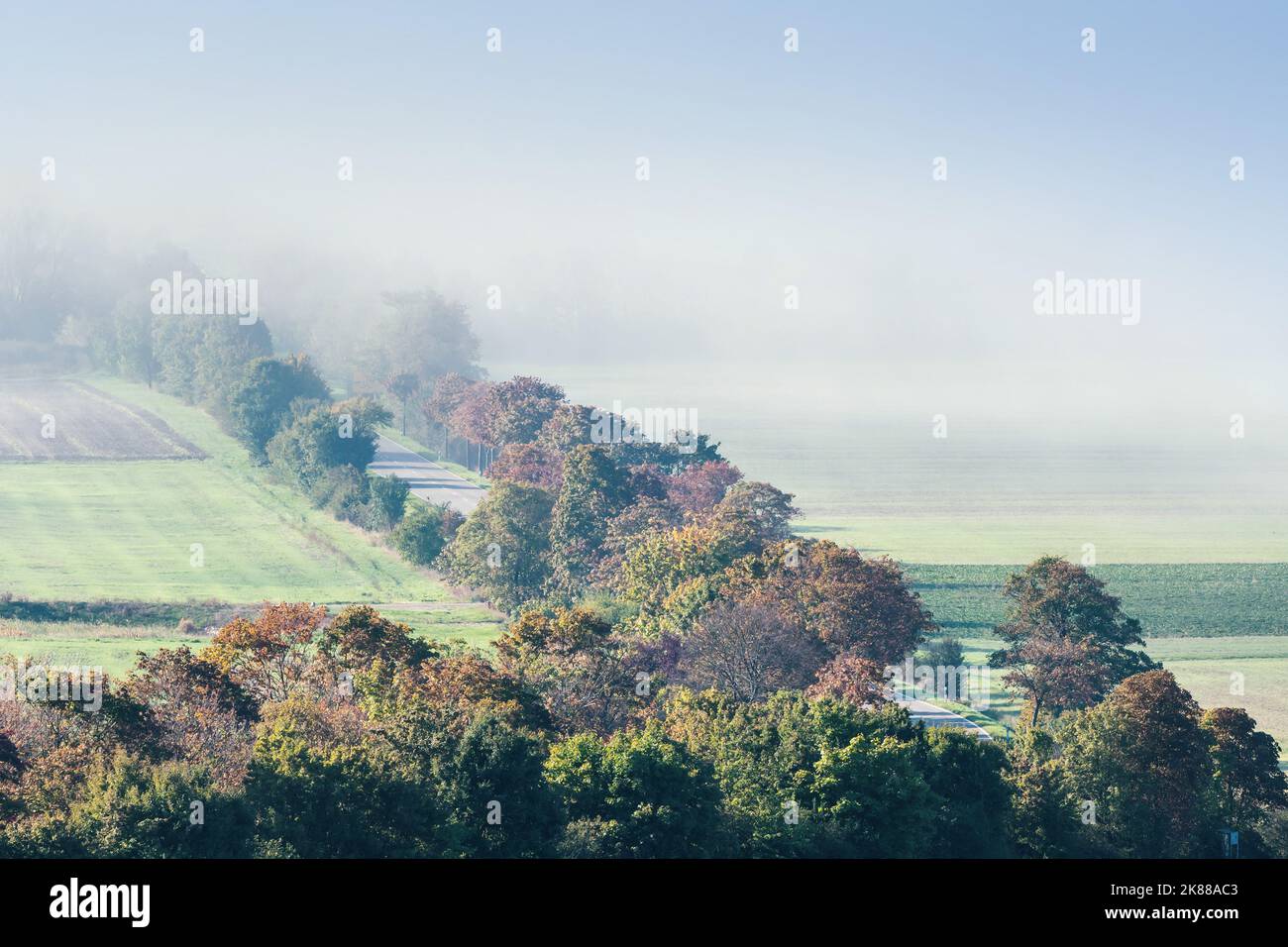 Une route de campagne vue à distance sous un angle s'étend entre les champs ensoleillés et le brouillard du matin. Banque D'Images