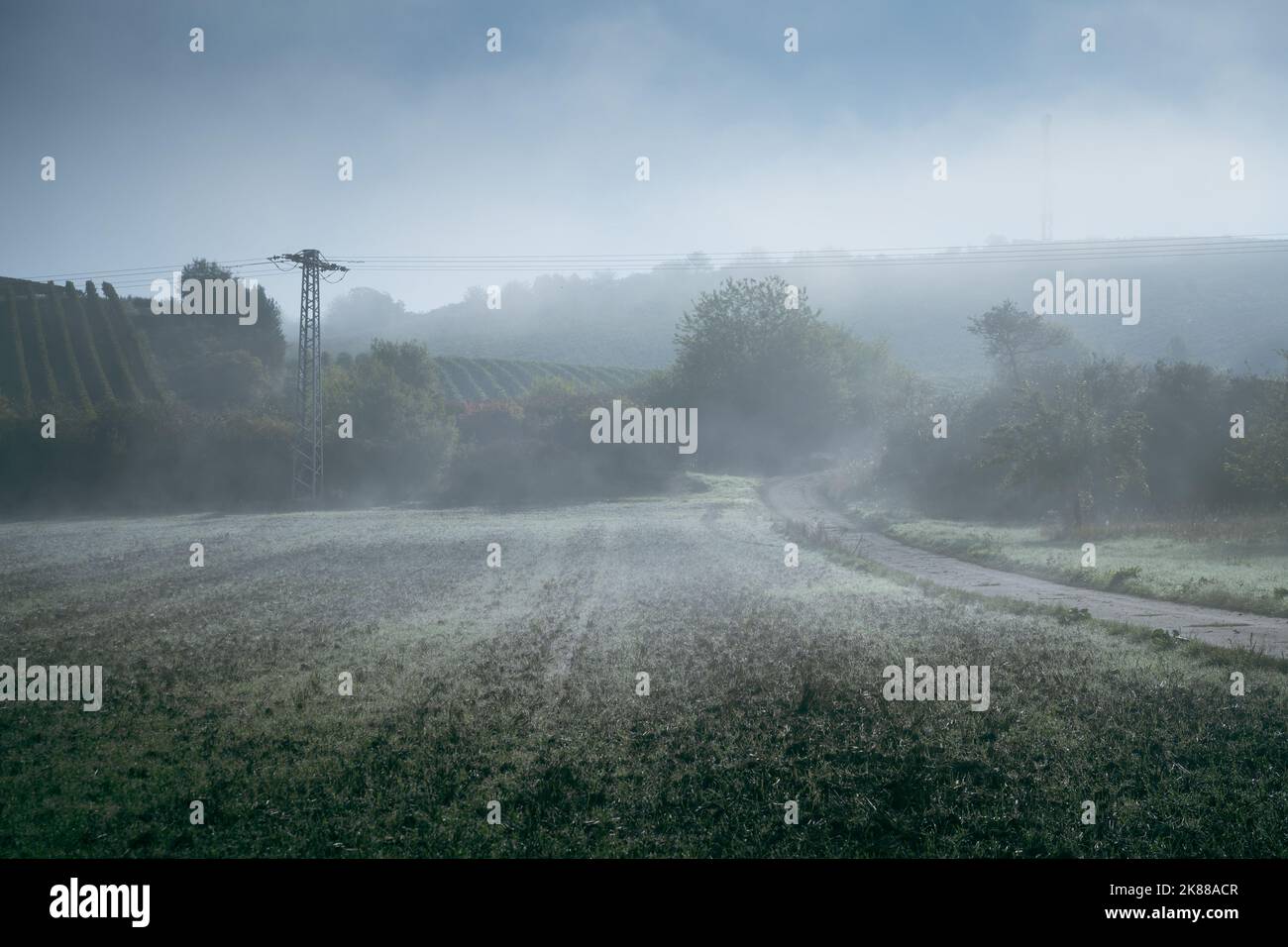 Le brouillard mystique du matin se trouve sur un champ et une route de terre menant dans les collines boisées dans la brume. Banque D'Images
