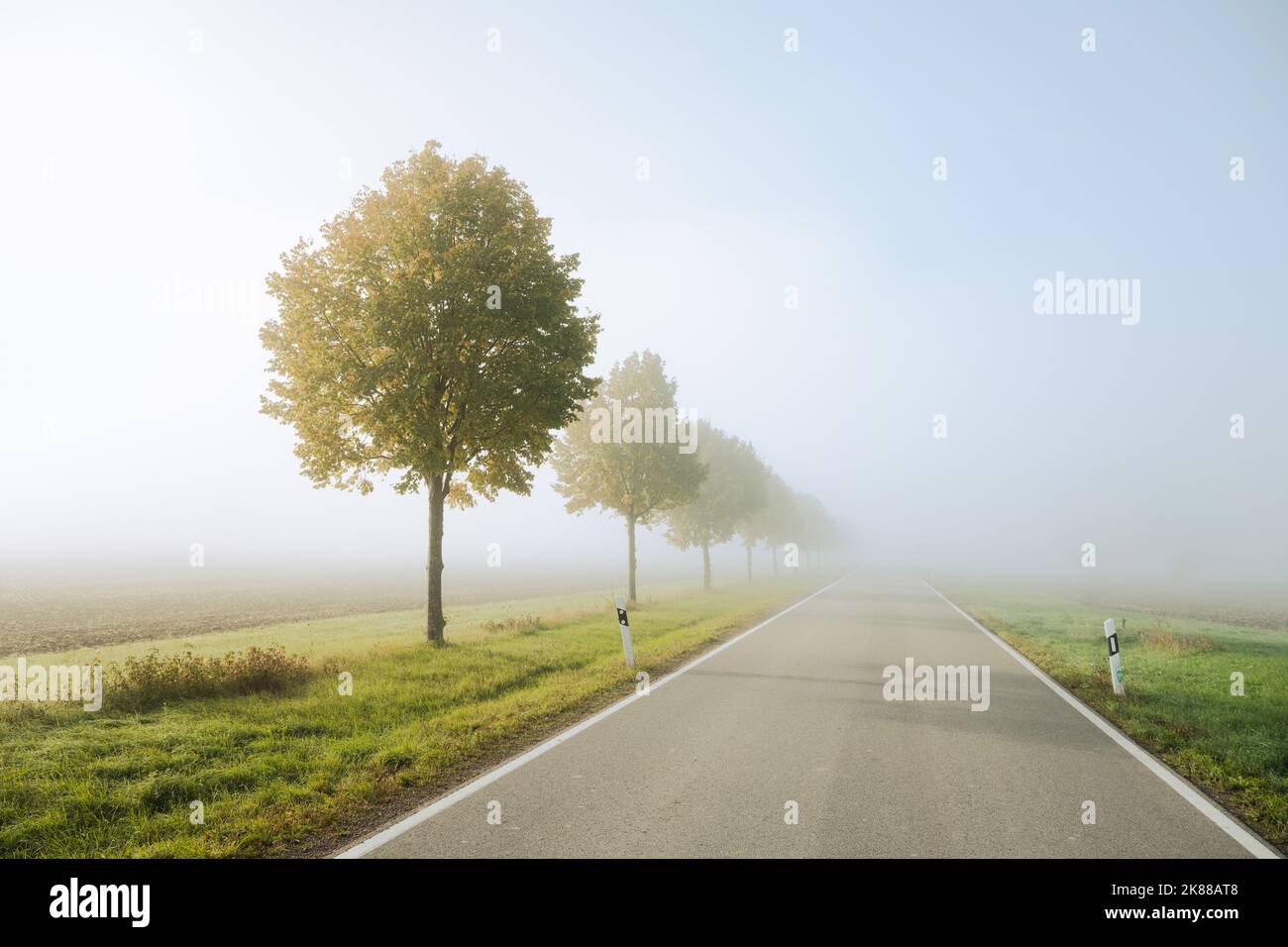 Une route de campagne entre les champs verts passe de la lumière chaude et ensoleillée au brouillard opaque du matin. Banque D'Images