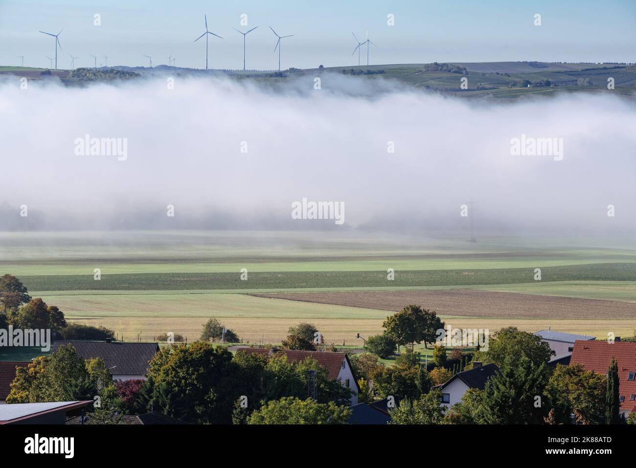 Un groupe de moulins à vent se dresse sur une colline contre un ciel clair et il y a du brouillard dans la vallée en face de lui. Banque D'Images