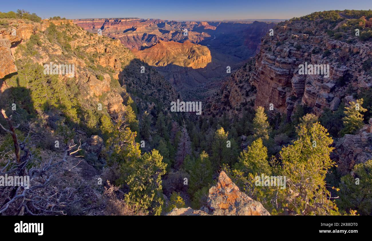 Grand Canyon à l'est de Navajo point AZ Banque D'Images