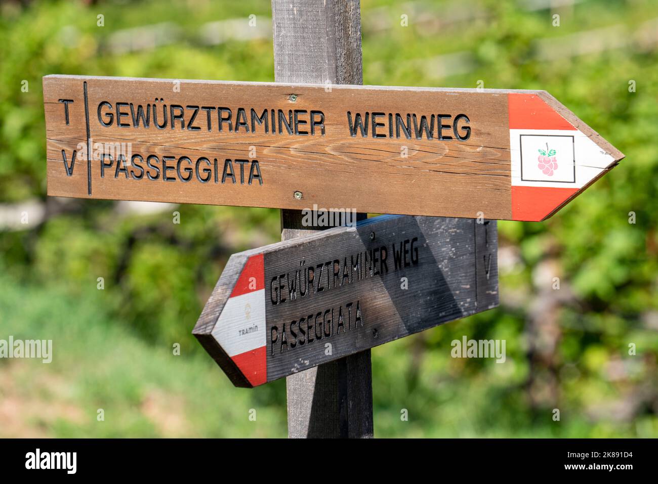 Sentier de randonnée Signpost à la route des vins de Gewürztraminer, tour dans les vignobles au-dessus du village de Tramin, sur la route des vins du Tyrol du Sud, orig Banque D'Images