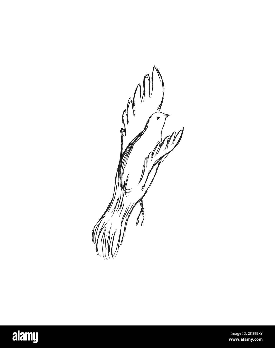 Dessinez l'oiseau volant. Illustration vectorielle dessinée à la main isolée. Gravure d'un parrow, titmouse, hirondelle dans le style de l'entaille. Illustration de Vecteur