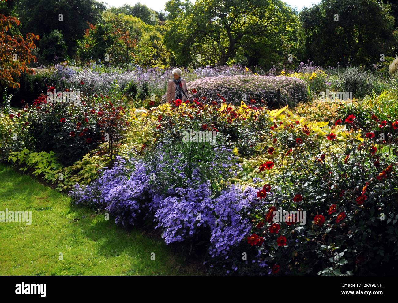 Les derniers jets de l'été comme les fleurs accrochent à la couleur de thair que l'automne descend sur les jardins Sir Harold Hiller près de Romsey, Hants pic Mike Walker, 2016 Mike Walker photos Banque D'Images