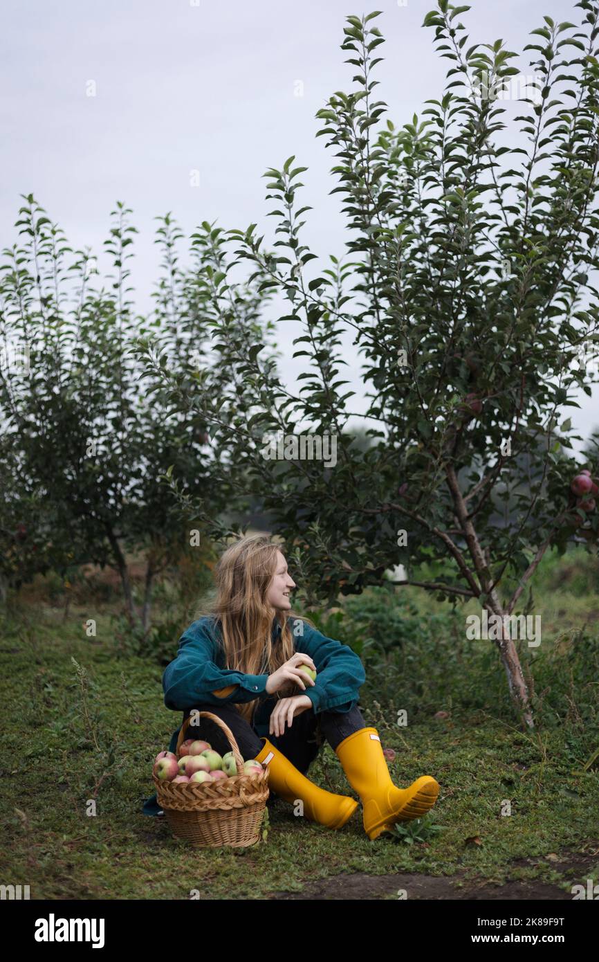 récolte de pommes et esthétique rurale. belle fille avec un panier de pommes dans le fond du jardin Banque D'Images