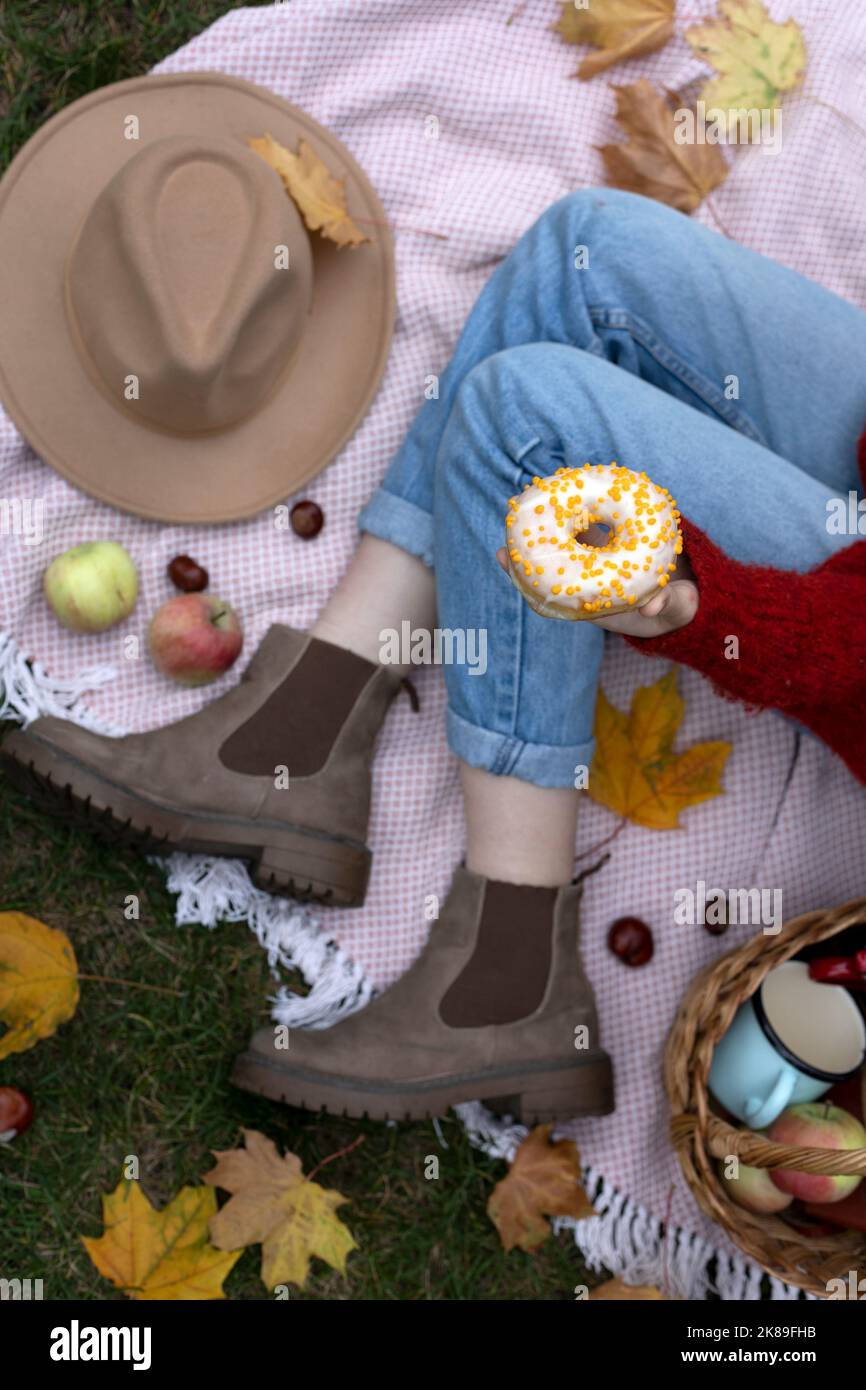 pique-nique d'automne. panier pour filles et pique-nique avec beignets, une tasse, des pommes et des livres. ambiance et esthétique Banque D'Images