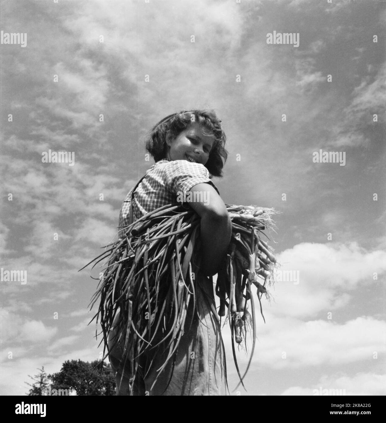 Cecil Beaton - Women's Horticultural College, Waterperry House, Oxfordshire - 1943 Banque D'Images