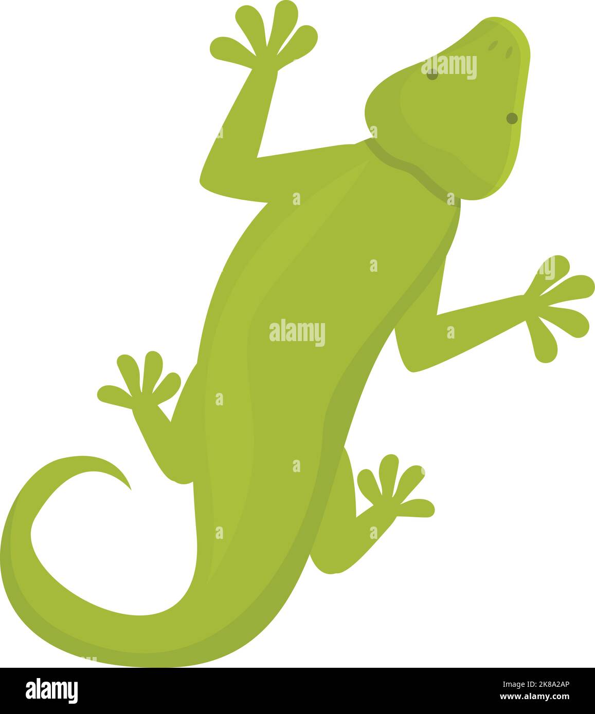 Vecteur de dessin animé d'icône Gecko. Iguana de lézard. Reptile animal Illustration de Vecteur