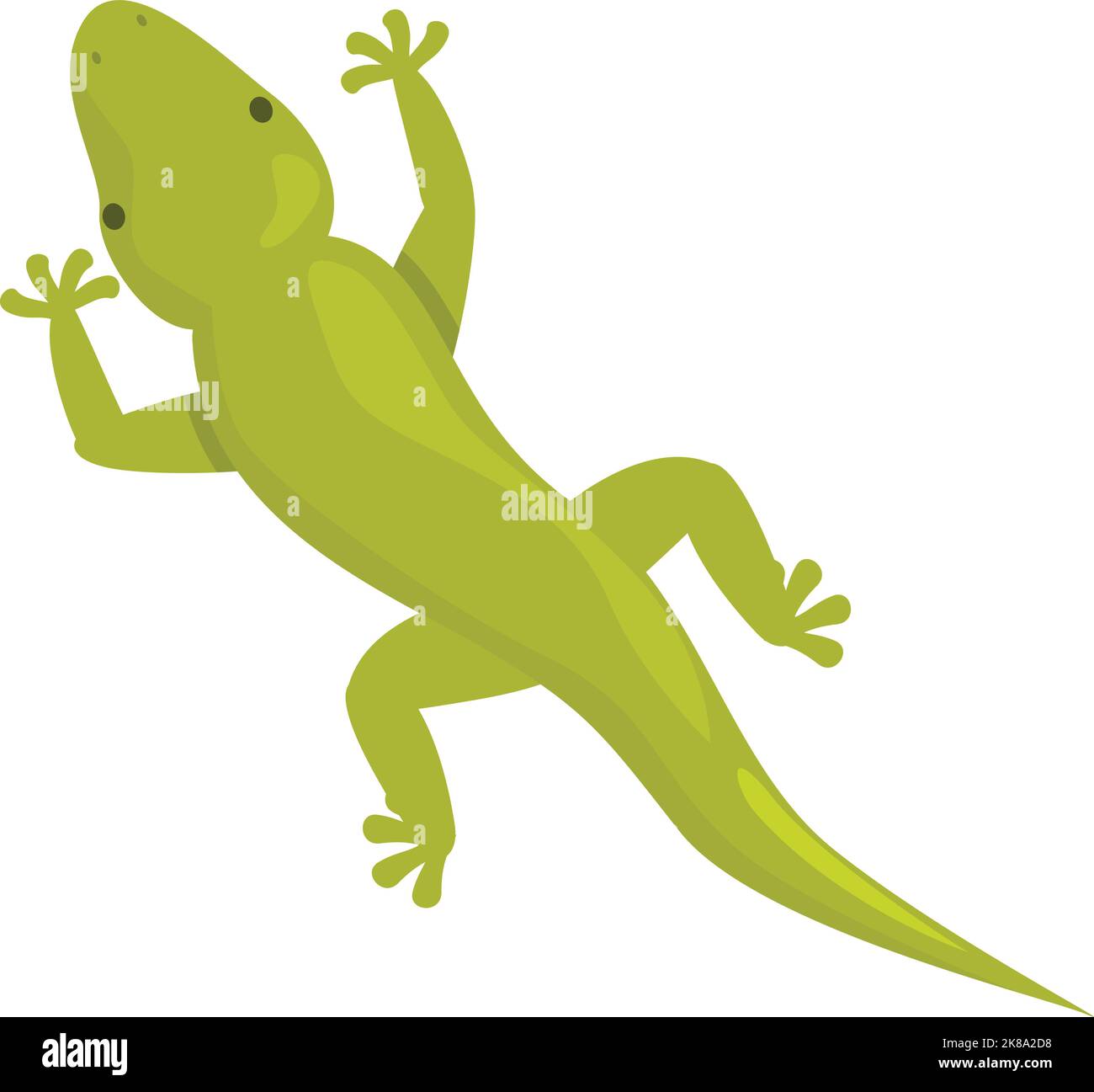 Vecteur de dessin animé d'icône de lézard vert. Iguana animal. Salamander gecko Illustration de Vecteur