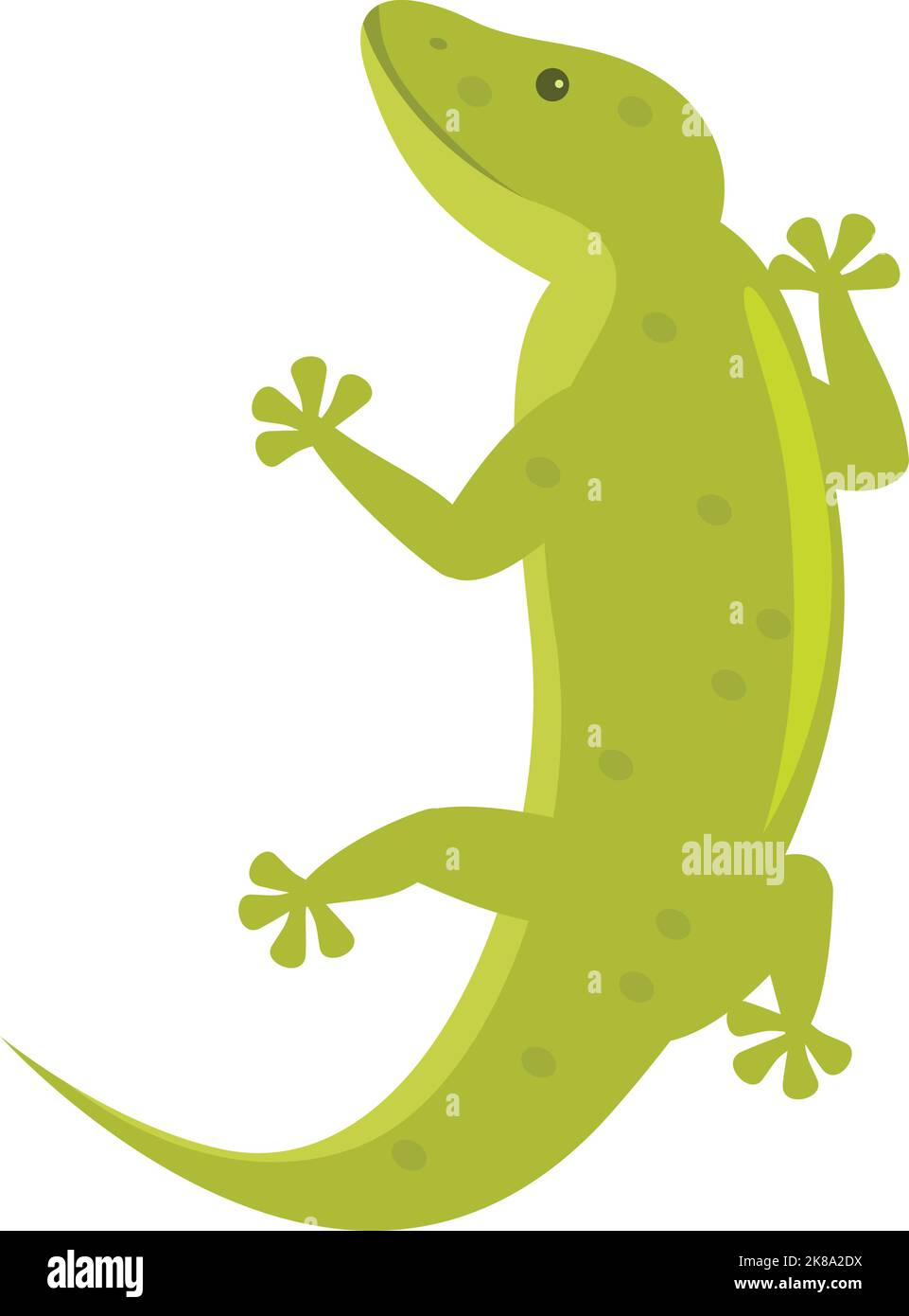 Vecteur de dessin animé d'icône d'animal vert. Lézard Gecko. Salamander iguana Illustration de Vecteur