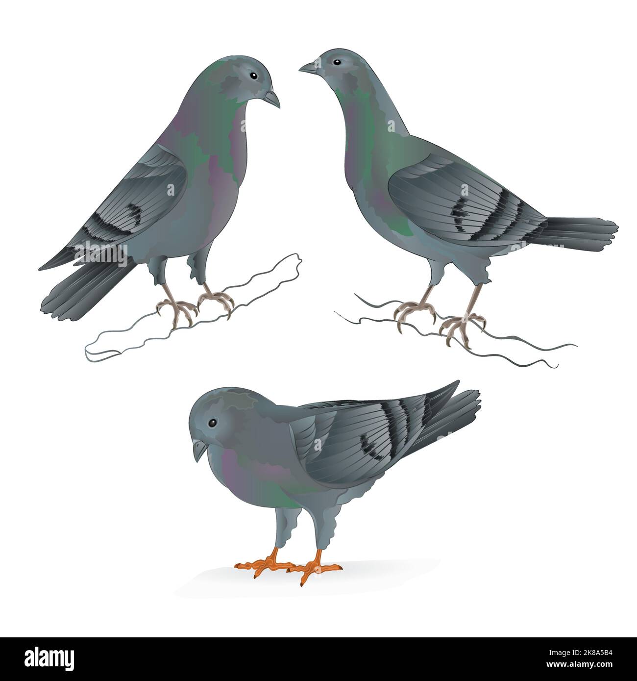 Portiers chiens races domestiques sports oiseaux vintage ensemble deux animaux vectoriels illustration pour dessin à la main Illustration de Vecteur Portiers chiens races domestiques sports oiseaux vintage ensemble deux animaux vectoriels illustration pour dessin à la main Illustration de Vecteur