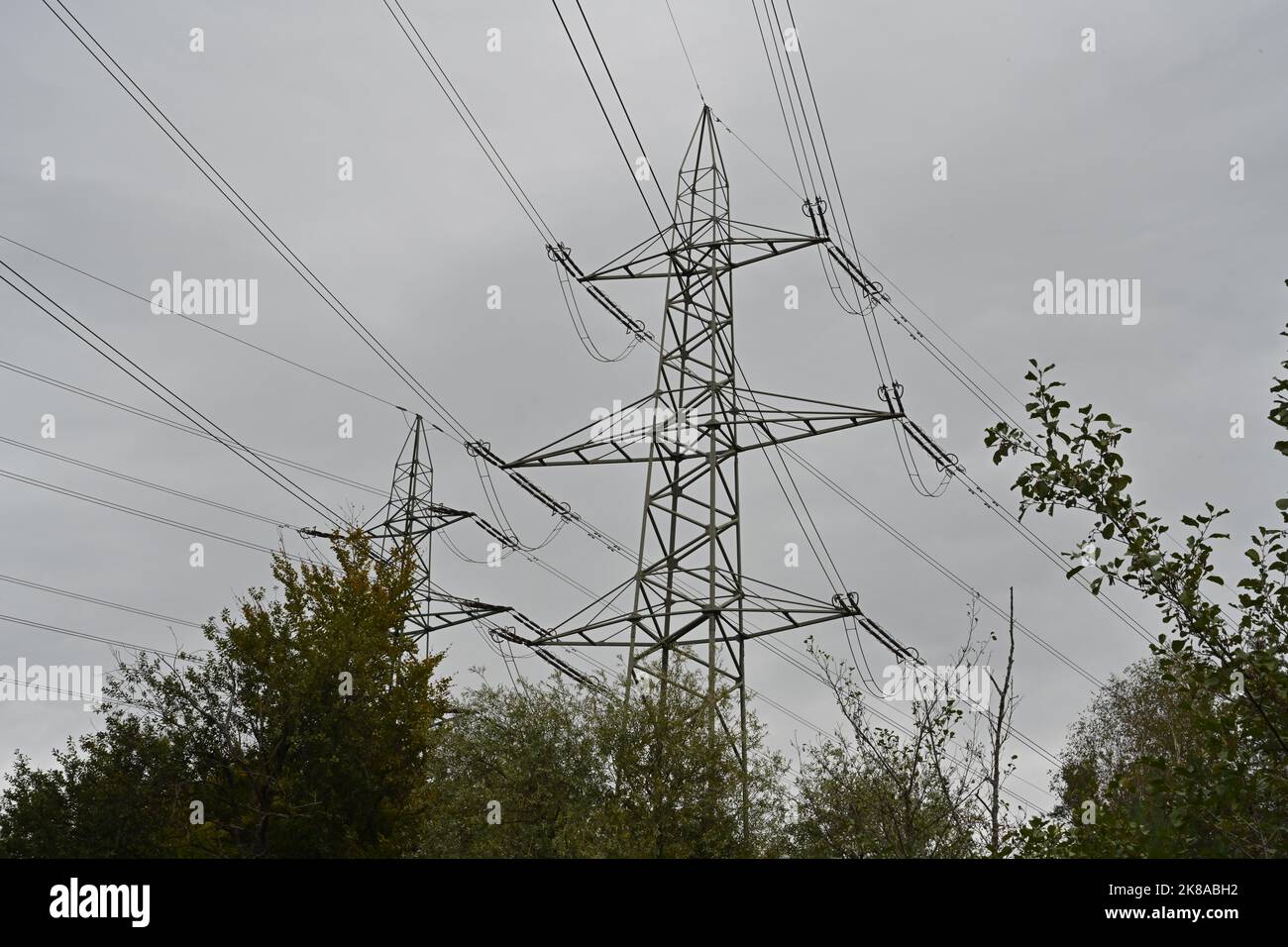 Pylône haute tension entre les arbres pour le transfert d'électricité avec des fils en détail avec et avec ciel nuageux dramatique. Banque D'Images