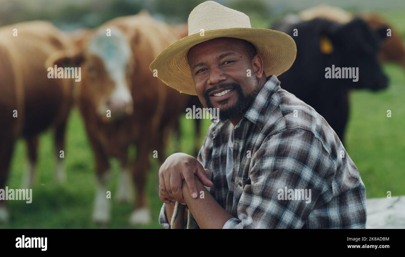 Si mon bétail est heureux, je suis heureux. Un homme mature travaillant sur une ferme de vaches. Banque D'Images