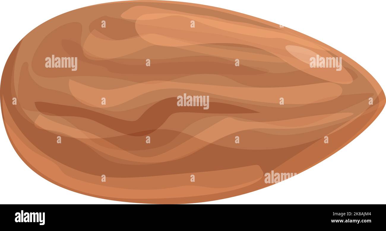 Vecteur de dessin animé d'icône de noix d'amande. Nourriture fruits. En-cas frais Illustration de Vecteur