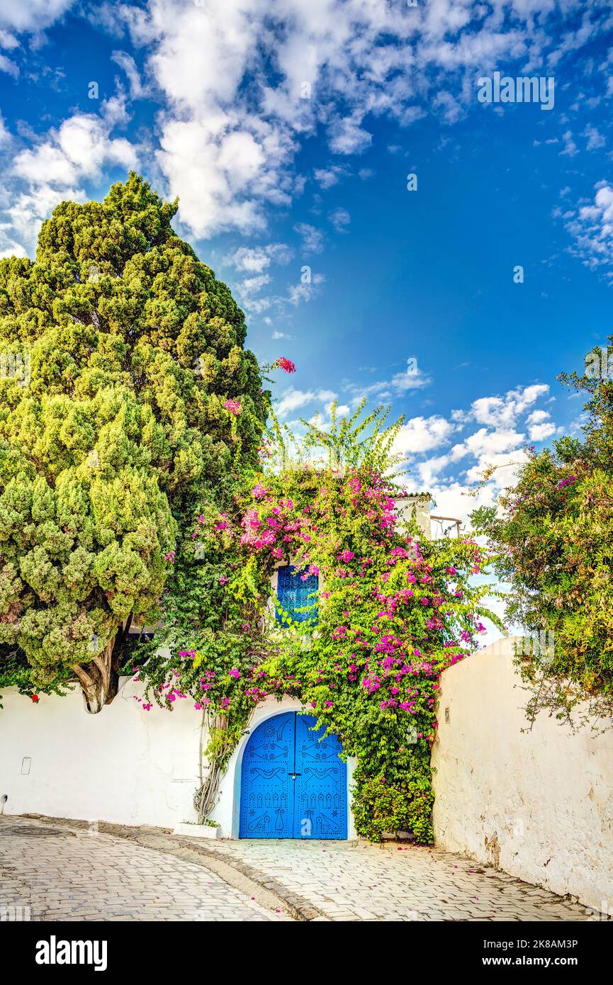 Sidi Bou Saïd, Tunisie Banque D'Images