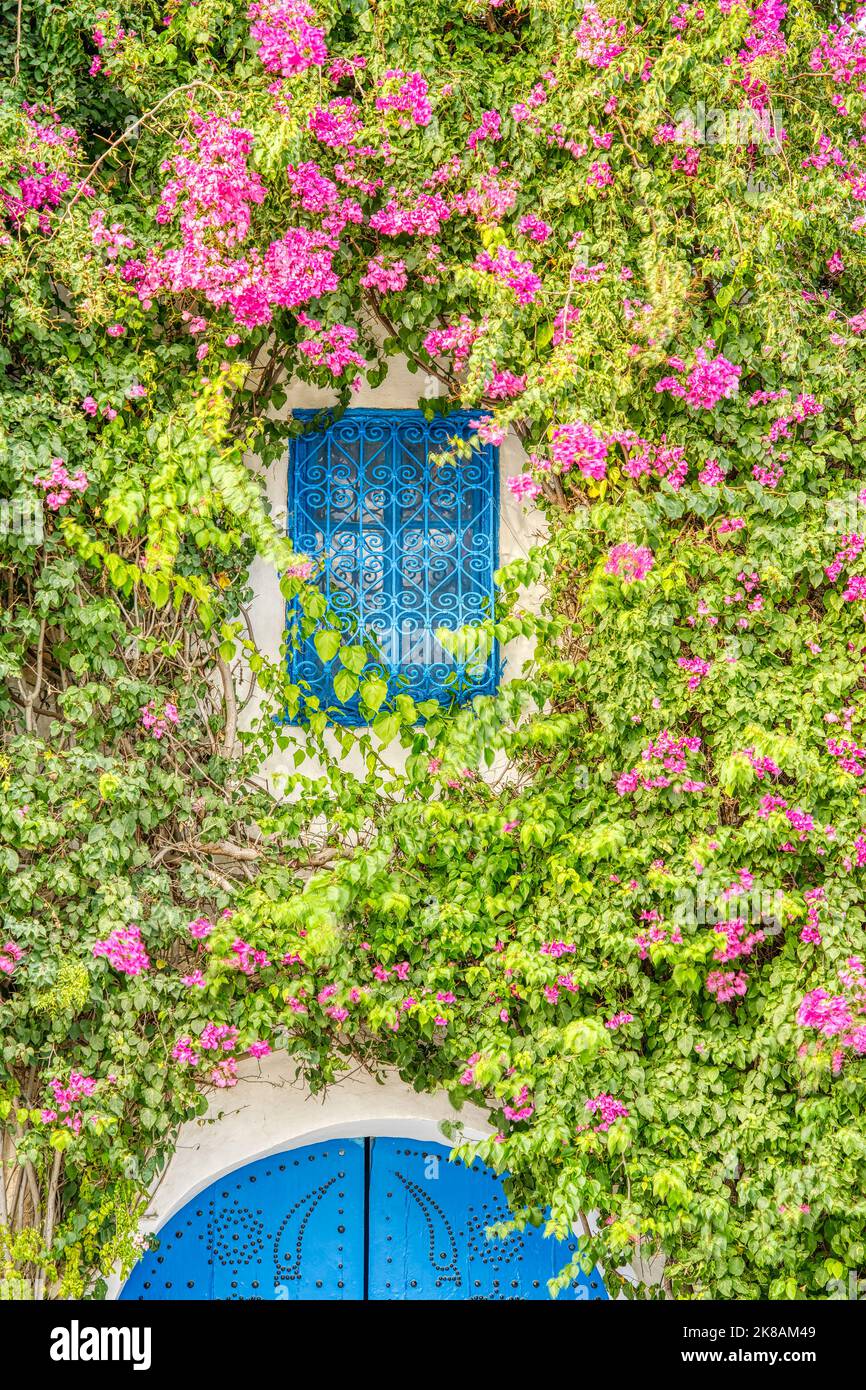 Sidi Bou Saïd, Tunisie Banque D'Images