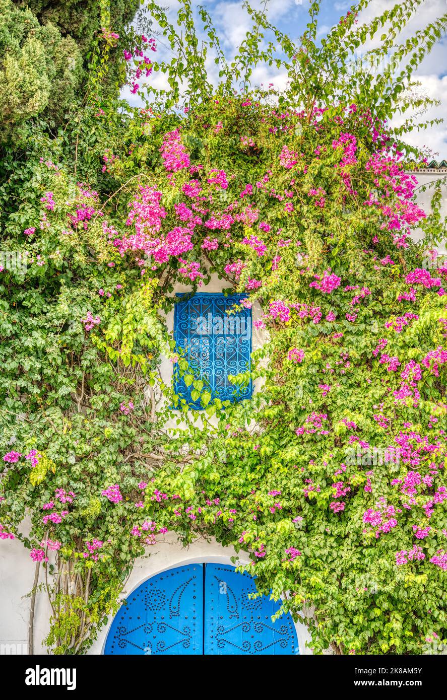 Sidi Bou Saïd, Tunisie Banque D'Images