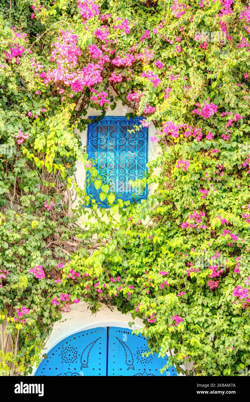 Sidi Bou Saïd, Tunisie Banque D'Images