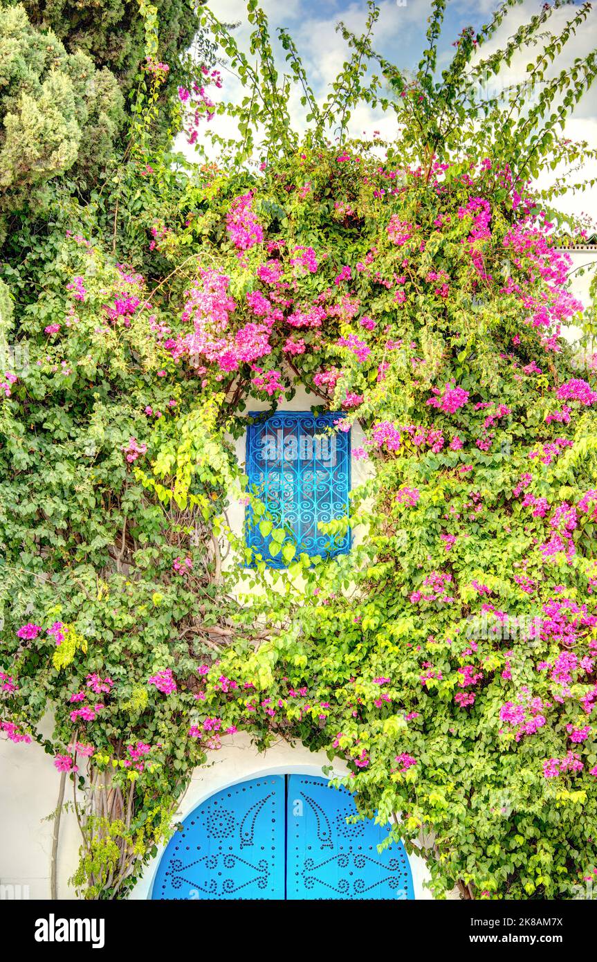 Sidi Bou Saïd, Tunisie Banque D'Images