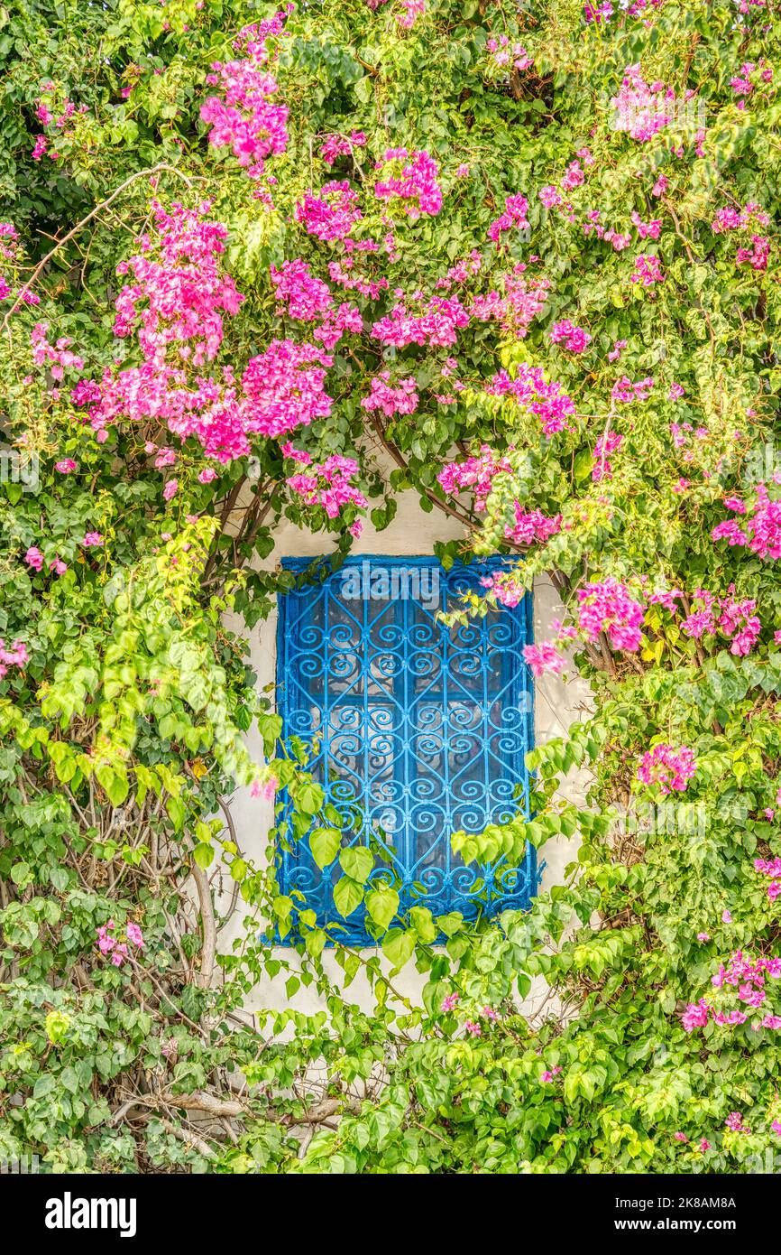 Sidi Bou Saïd, Tunisie Banque D'Images