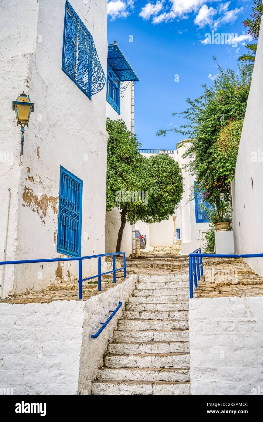 Sidi Bou Saïd, Tunisie Banque D'Images