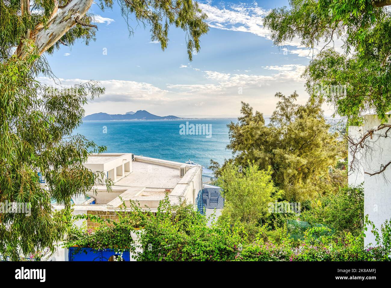 Sidi Bou Saïd, Tunisie Banque D'Images