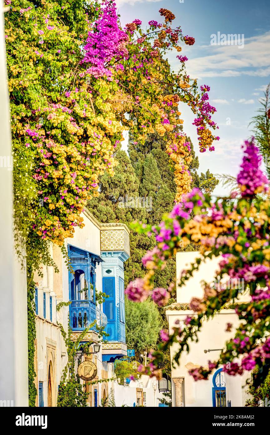 Sidi Bou Saïd, Tunisie Banque D'Images