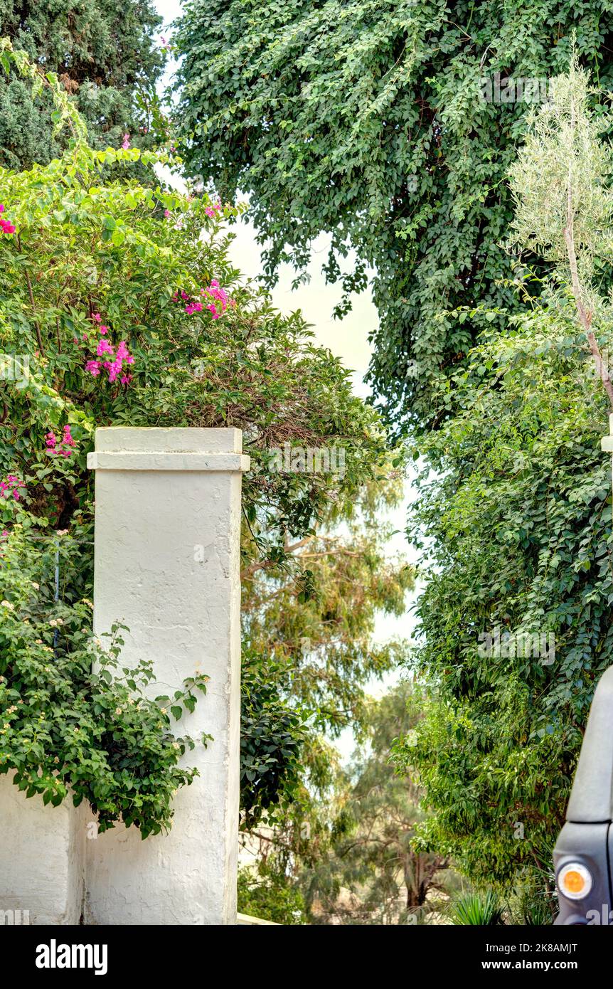 Sidi Bou Saïd, Tunisie Banque D'Images