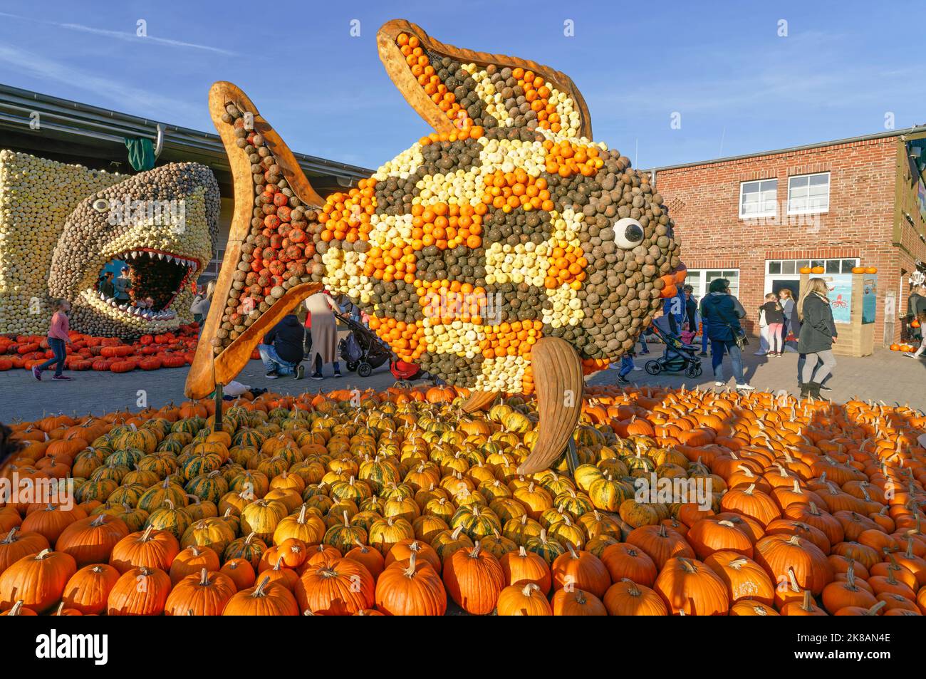 Herbstmarkt auf dem Spargelhof in Klaistow, Kürbismarkt, Bauernhof, Banque D'Images